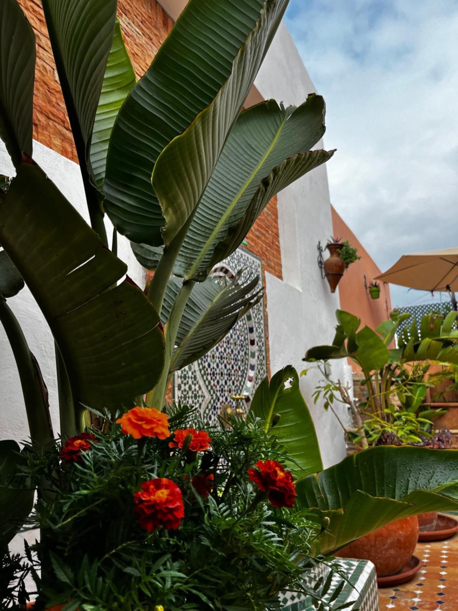 ホテル Casa Indigo ラバト エクステリア 写真